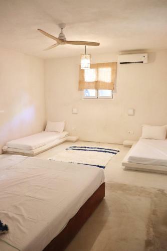 Albergue La Pandilla Ibiza