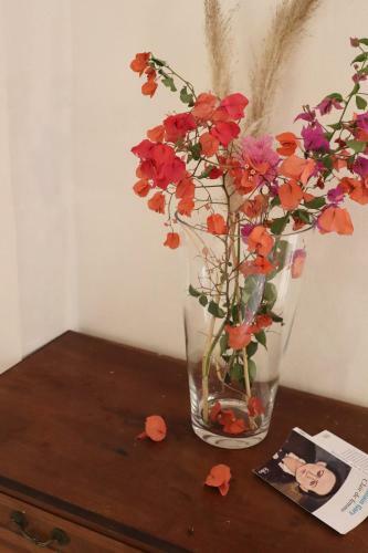 Albergue La Pandilla Ibiza