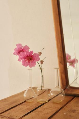 Albergue La Pandilla Ibiza