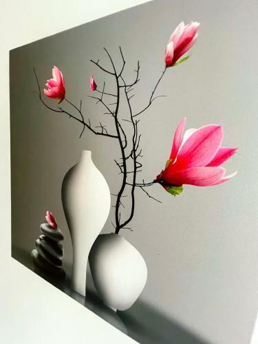 Mbiz Apartment - Next To Park