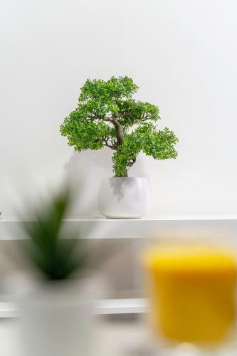 Jkg Property Solutions Presents Cosy City Apartment