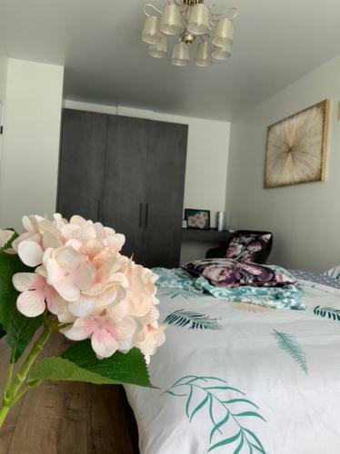 Apartamento ????????????? ??????&?????& Vip