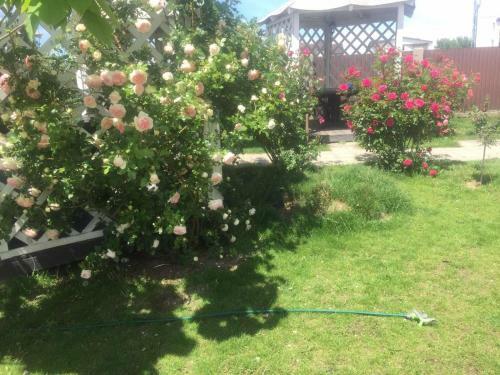 Hostal ????? ???????