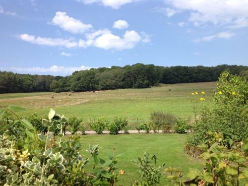 Holiday Home De Dal Mechelen I