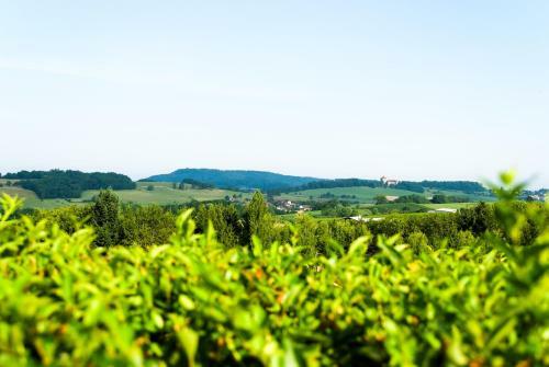 Hotel Logis Hostellerie Des Monts Jura