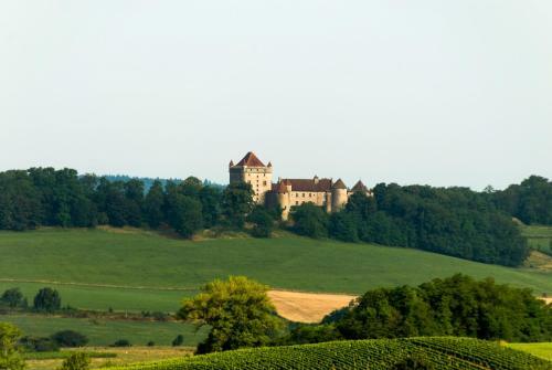 Hotel Logis Hostellerie Des Monts Jura