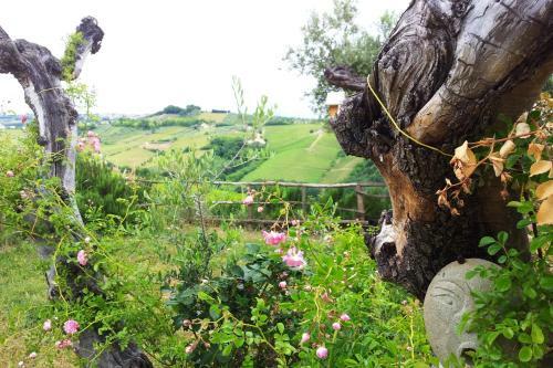 Agroturismo Agriturismo Campoletizia
