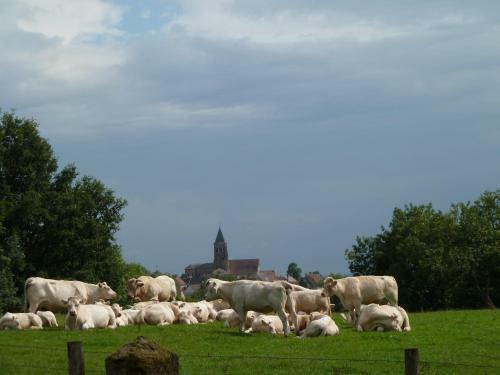 Bed & Breakfast Ch�teau De Clusors