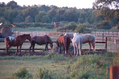 Bed & Breakfast Ranch De Boujac