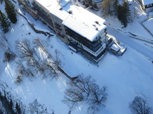 Hotel Alpina