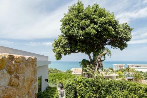 Hostal Sasha Villa