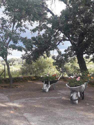 Agroturismo Casa Rural Las Pilas