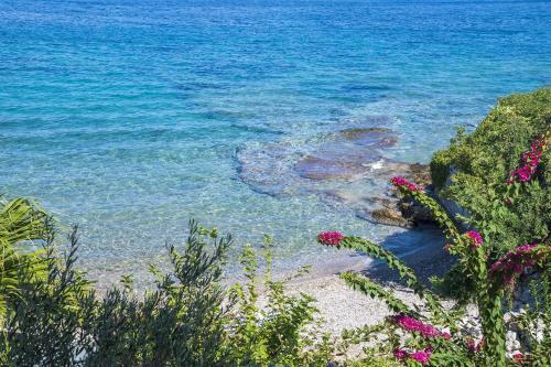 Beachfront Spetses Spectacular Fully Equipped Traditional Villa Familiesgroups