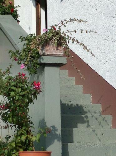 Apartamento Ferienhaus Gassner