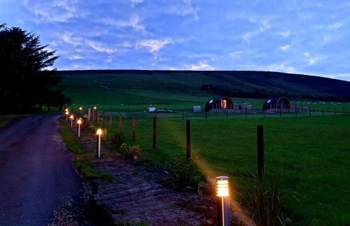 Lilly's Lodges Orkney Hedgehog Lodge