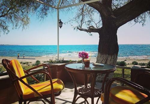 Marina Beach House