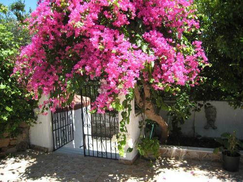 Apartamento Eleftheria Lindian Studios II
