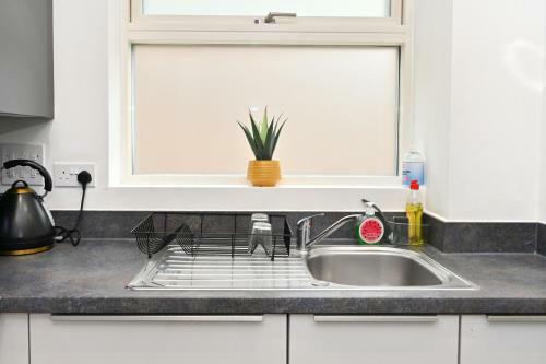 Luxury 2 Bedroom, 2 Bath Apartment, Prime Location