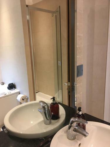 The Mirror Suite, Burway House On The River Thames