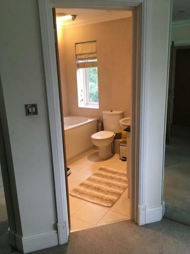 The Mirror Suite, Burway House On The River Thames