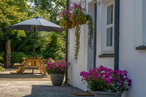 White Mill - 4 Bedroom Holiday Home - Lampeter Velfrey - Narberth