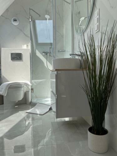 Apartamenty Bulwar Staromiejski