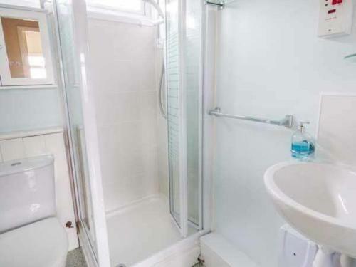 Cosy West Wales Holiday Lodge