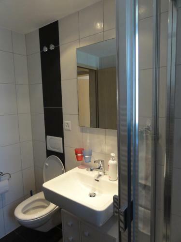 Apartamento Chalet Sch�nb�hl