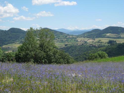 Apartamento Au Pied De La Roche