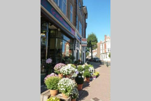 Langton House Apartment For 4