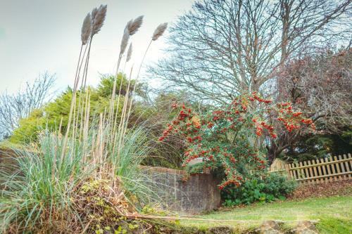 Apartamento Ravelston Grange - Stylish, Spacious Garden Flat