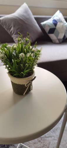 Apartamento Barcelona 2 Habitaciones