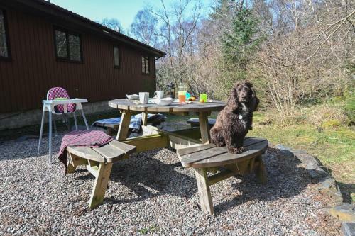 Birchbrae Highland Lodges