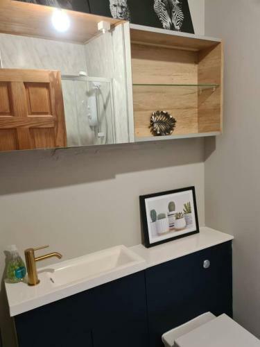 Lakeside Swallow Lodge - Private Hot Tub