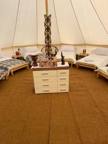 Wild Camping Lands