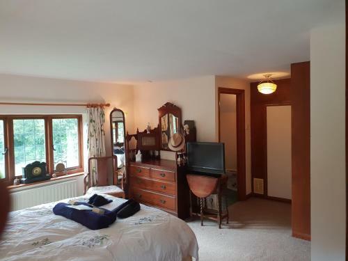 Bed & Breakfast Ford House