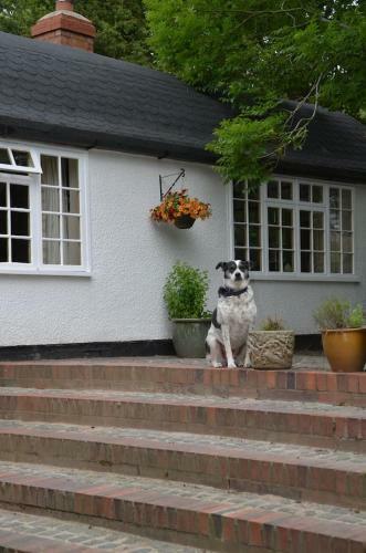 Bucket Lock Cottage