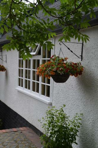 Bucket Lock Cottage