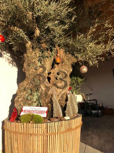 Apartamentos Ferienhaus Haagalm