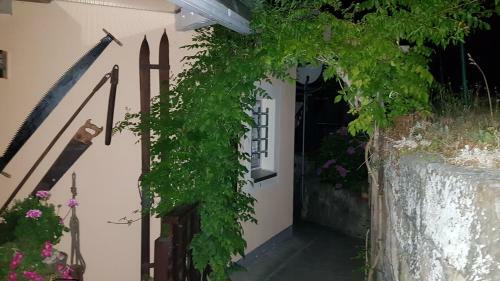 Apartamento Ferienwohnungen "gr�ndelrast"