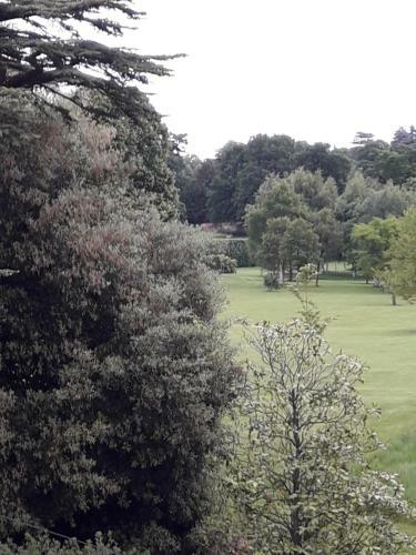 Bed & Breakfast Havisham House
