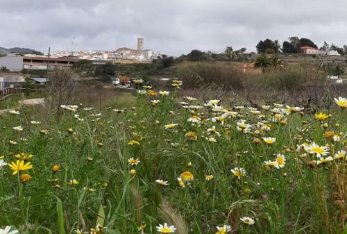 Apartamento Casa Sant Vicent 63