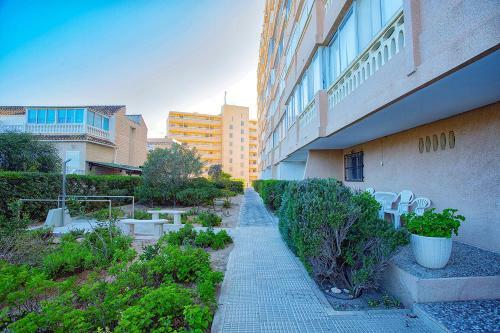 Apartamento 131 Sea Dream - Alicante Holiday
