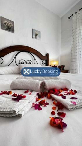 Zahara Lucky Booking