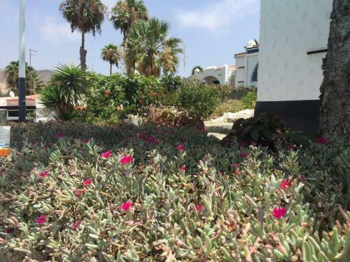Apartamento Sol Y Playa En Arguineguin