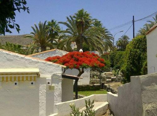 Apartamento Sol Y Playa En Arguineguin