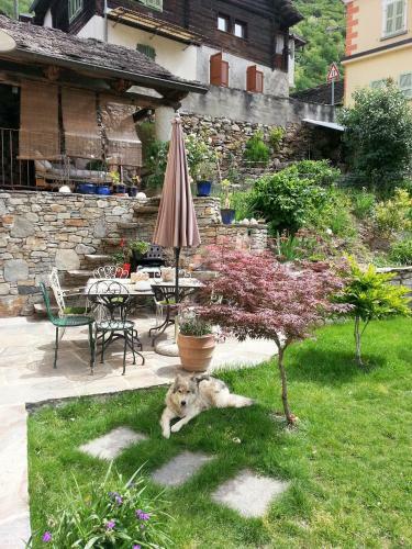 B&B Il Calicanto