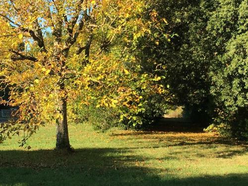 Bed & Breakfast Logis De Guitres - Chambres D'hotes