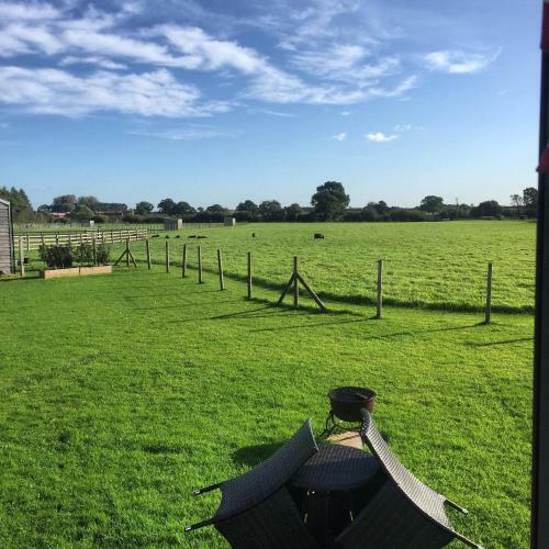 Springwood Shepherd Huts Glamping York