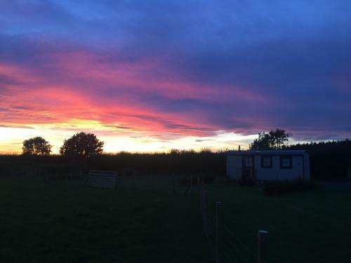 Springwood Shepherd Huts Glamping York